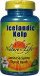 Icelandic Kelp