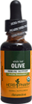 Olive Leaf Extract