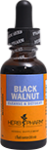 Black Walnut Extract
