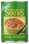 Lentil Vegetable Soup Organic