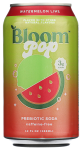 Prebiotic Soda Watermelon Lime