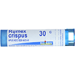 Rumex crispus