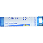 Silicea