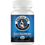 Full Spectrum THC Infused Gummies Blue Raspberry