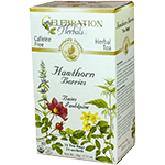 Hawthorn Berries Tea Organic