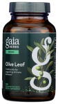 Olive Leaf