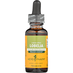 Lobelia Extract
