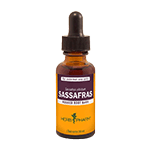 Sassafras Extract