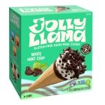 White Mint Chip Cone