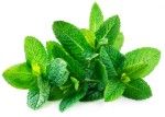 Organic Mint