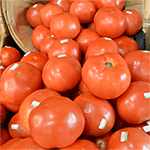 Conventional Tomatoes