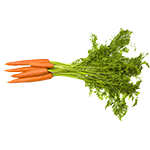 Organic Bunched Carrots With Tops
