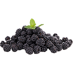 Organic Blackberries