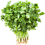 Organic Cilantro