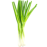 Organic Green Onions
