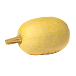 Organic Spaghetti Squash