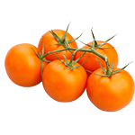 Organic Vine Tomatoes