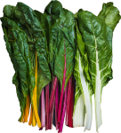 Organic Rainbow Chard