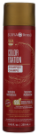Color Fixation Restorative Shampoo