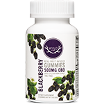 Real-Fruit Infused Gummies 500mg CBD Blackberry