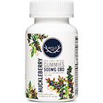 Real-Fruit Infused Gummies 500mg CBD Huckleberry