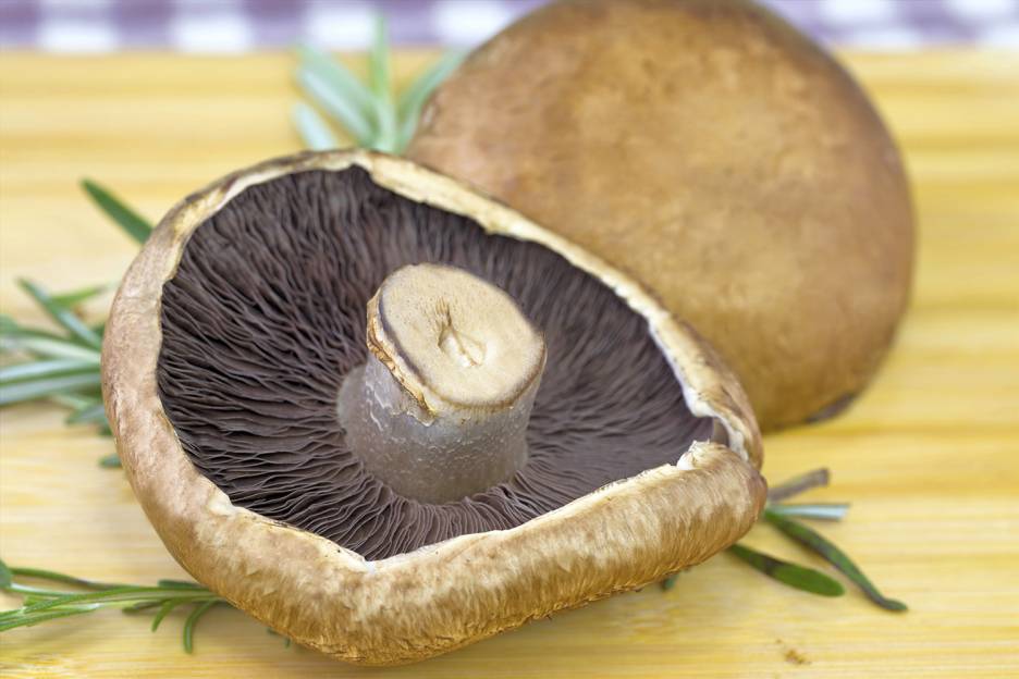 Choosing and Storing Mushrooms