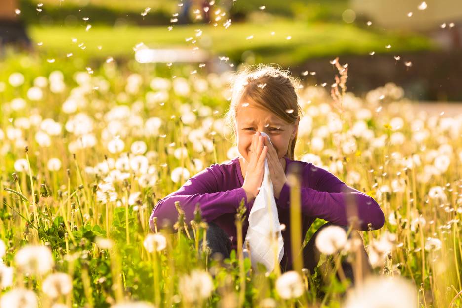Herbal Hacks for Hay Fever