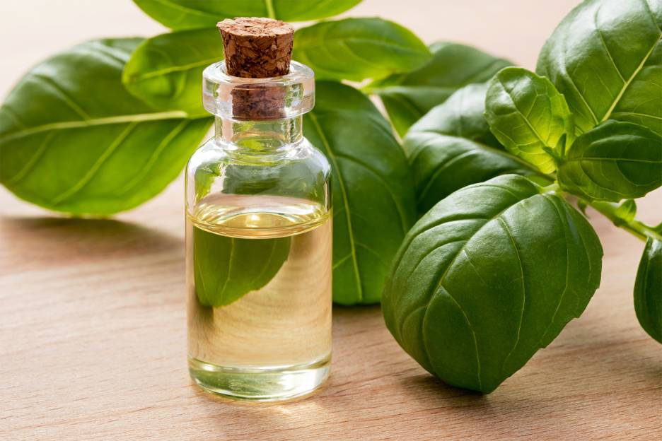 Natural Tricks for Bug Bites and Repellent