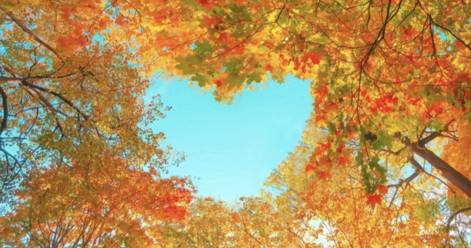 Autumn Immunity Tips to Ward Off Virus and Respiratory Issues