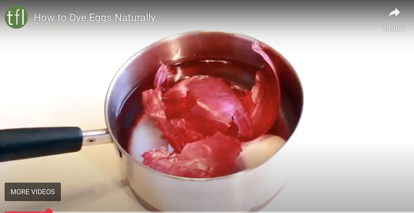 Naturally Dyed Eggs