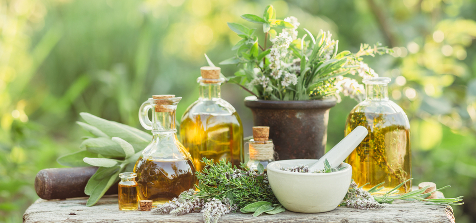 Ancient Herbs for Modern Ailments