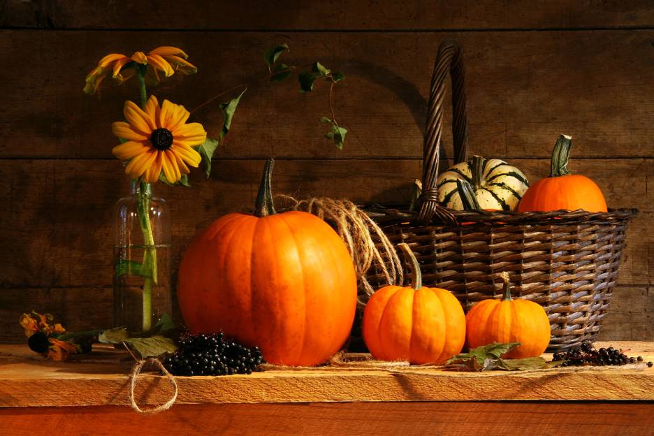 Tips for Halloween Nutrition